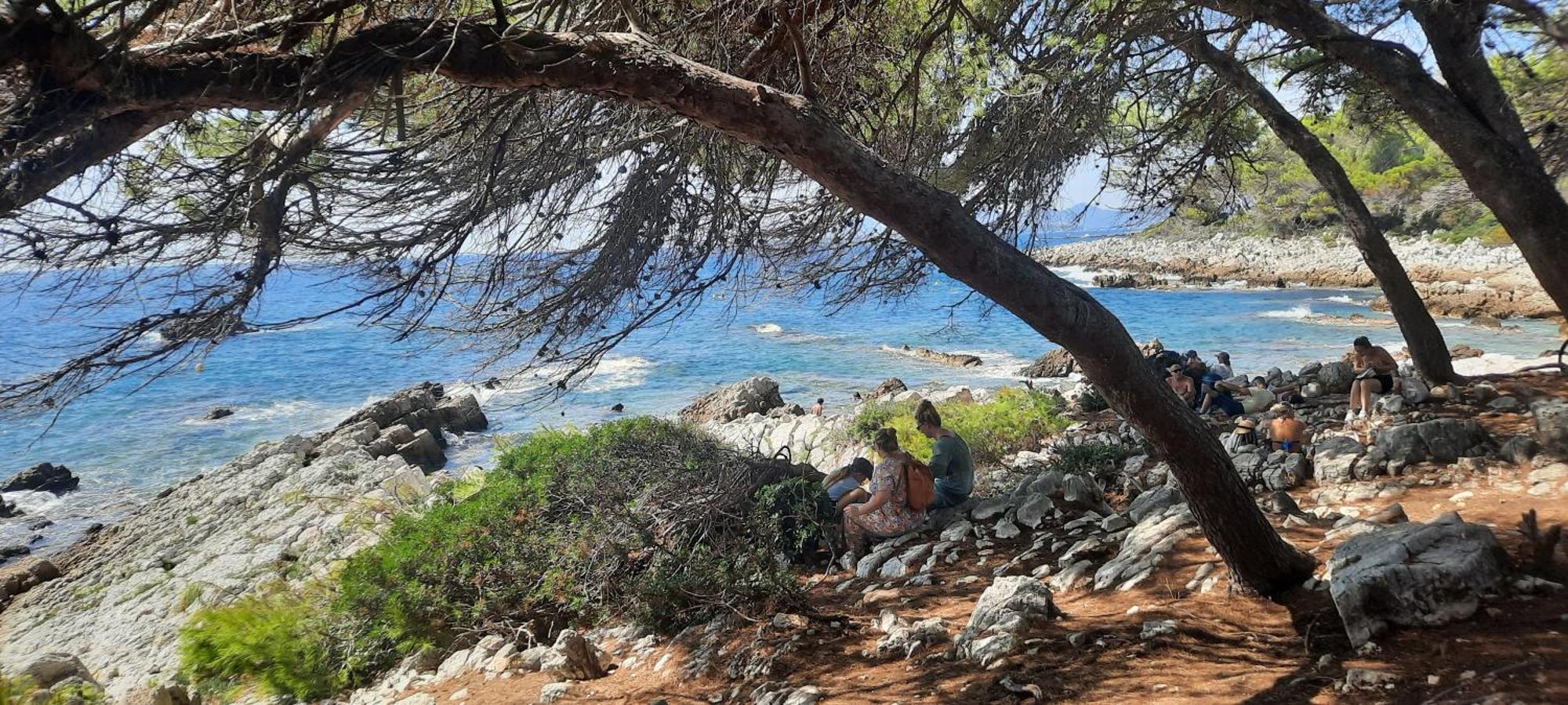 Studio Sun-Beach Avec Parking Et Jardin - 500M Des Plages De Juan Les Pins Antibes Exterior foto
